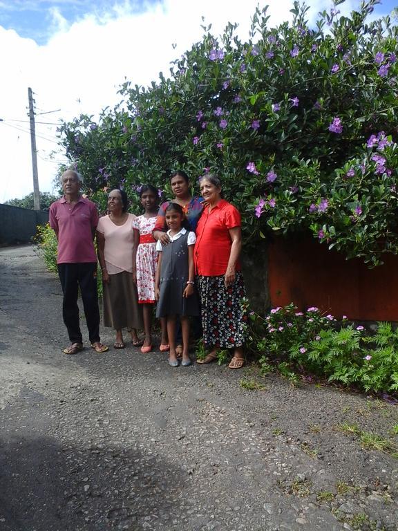 Primrose Inn Kandy Dış mekan fotoğraf